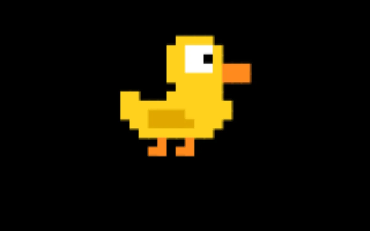 Silly Duck
